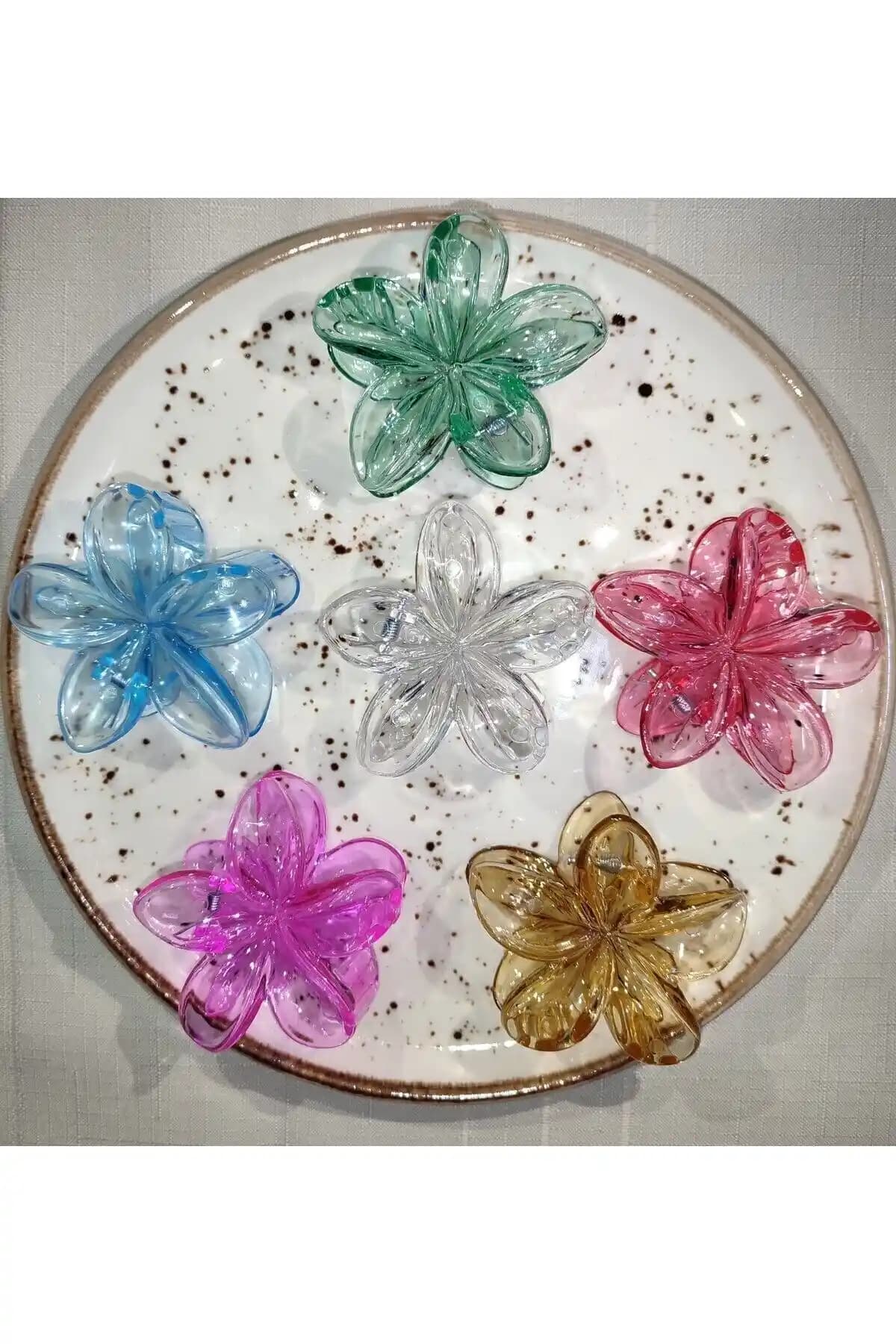 Kadınlar İçin Büyük Boy Şeffaf Lotus Toka Seti Estetik ve Dayanıklı Saç Aksesuarları