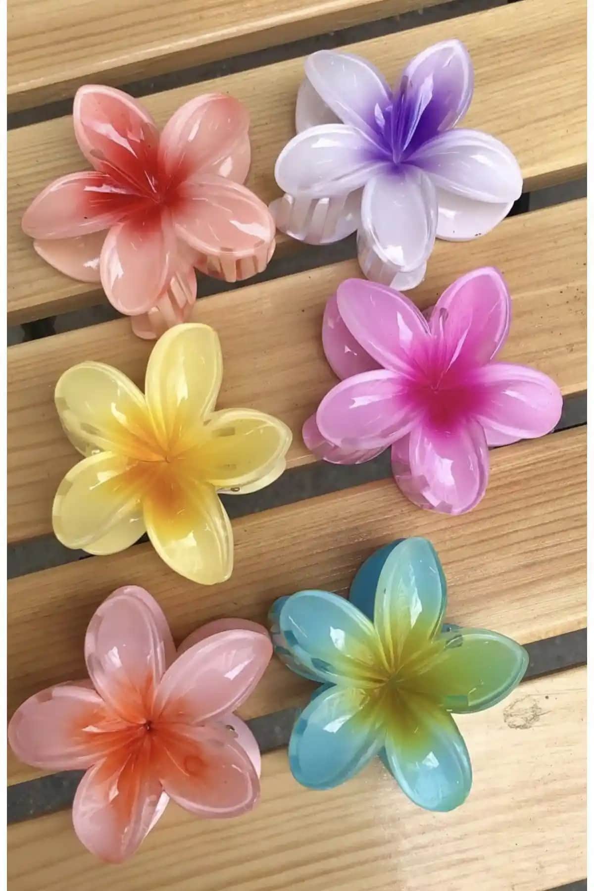 Monalisa Kadın Büyük Boy 6'lı Renkli Lotus Toka Seti Günlük ve Özel Kullanımlar İçin Uygun