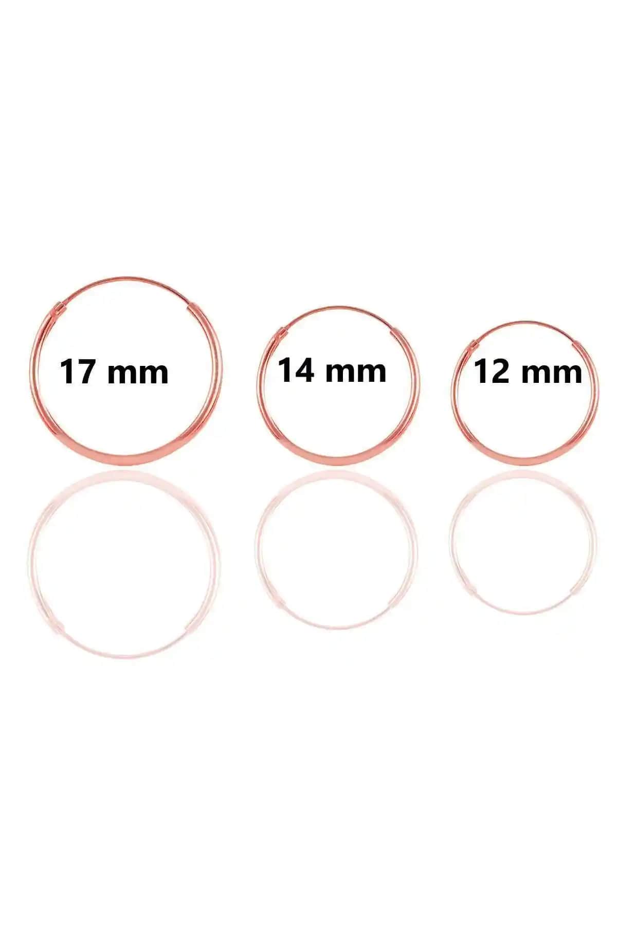 Söğütlü Silver Gümüş Rose Üç Boydan Oluşan Halka Kombin Küpeler Analizi ve Özellikleri