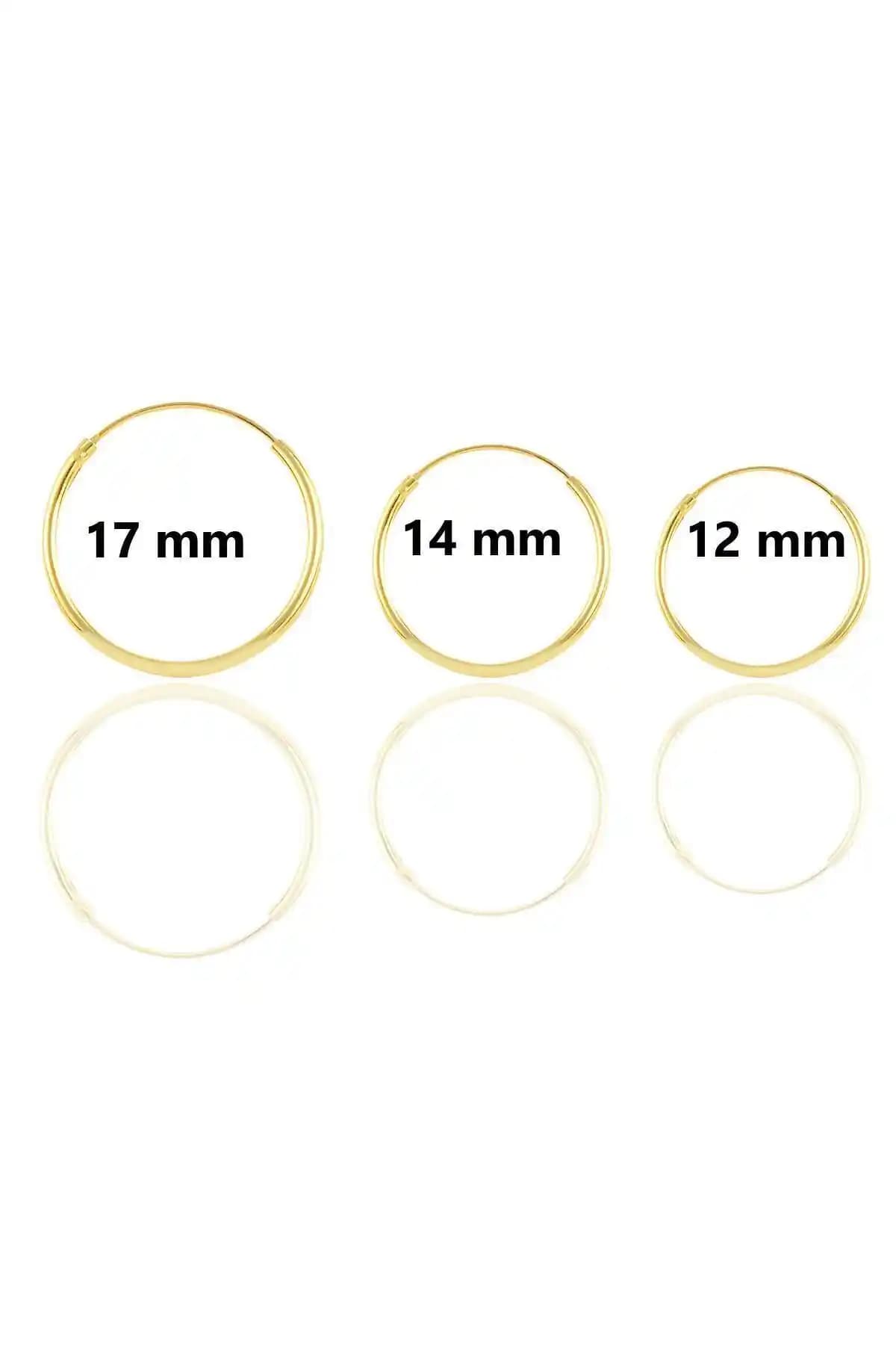 Söğütlü Silver Gümüş ve Altın Yalızlı Halkalı Üç Boyutlu Küpe Seti