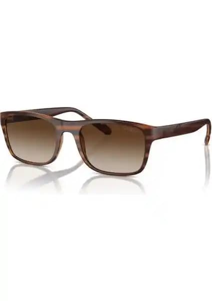 Vogue Vo 5547-SI Col 257113 Unisex Güneş Gözlüğü Şıklık ve Fonksiyonellik Bir Arada