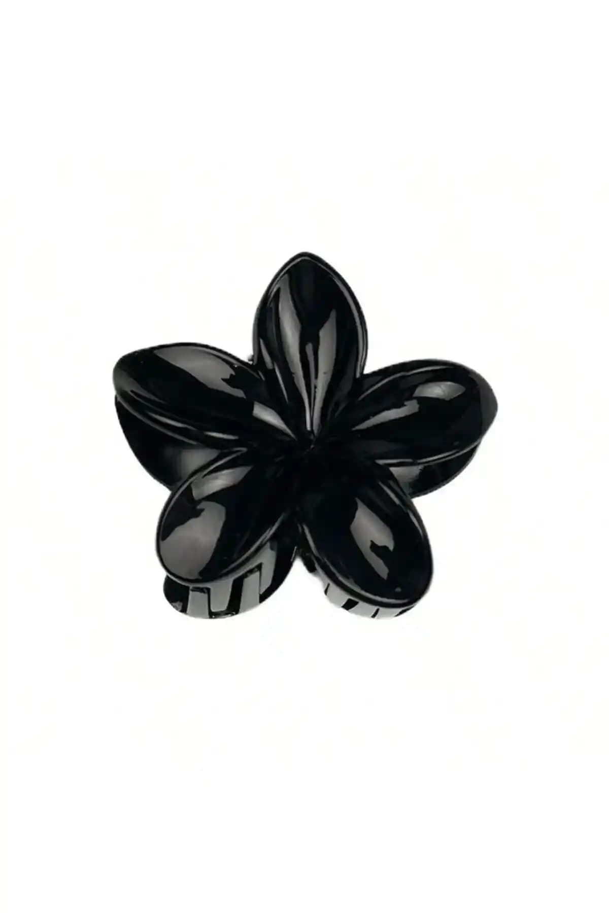 Lotus Toka Siyah: 2024 İsim Değişikliği ve Dayanıklı Aksesuar Tasarımı