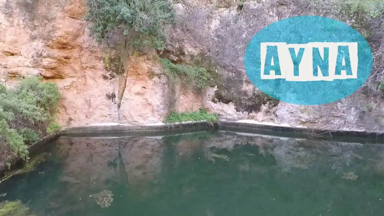 Ayna Kullanımı ve Moda Trendlerindeki Yeriyle Çanta Tasarımında Yenilikçi Yaklaşımlar