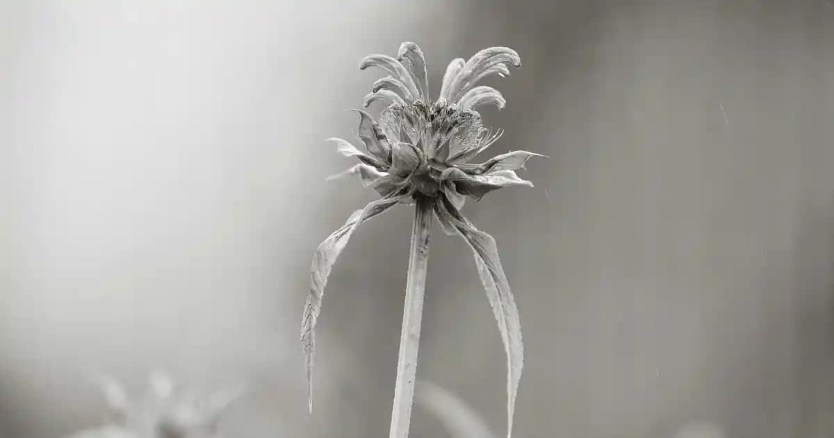 Bileklik Yapma Setleri ve Çanta Aksesuarları ile Yaratıcılığınızı Geliştirin