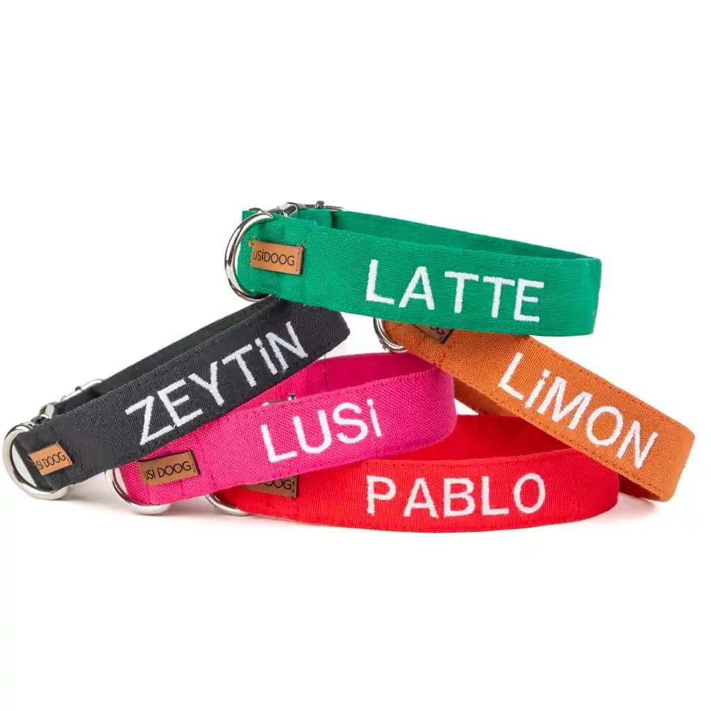 İsimli Tasma Nedir ve Çanta Aksesuarlarında Kişiselleştirme Trendleri