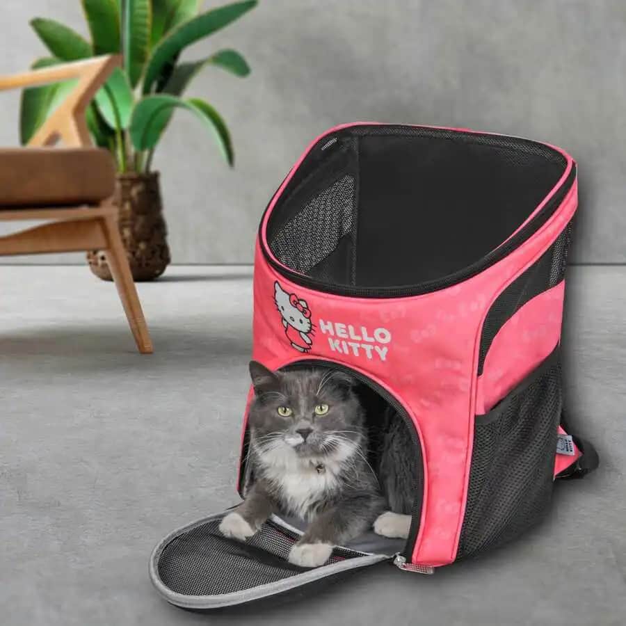 Kedi Çantası Modelleri ve Kullanım Alanlarıyla Şıklık ve Konfor Sağlar