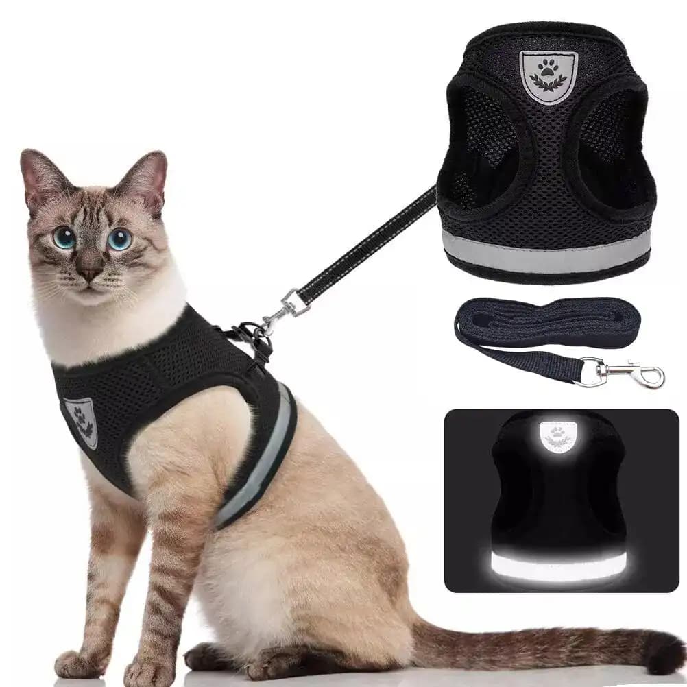 Kedi Göğüs Tasması Seçimi ve Güvenlik İçin En İyi Alternatifler