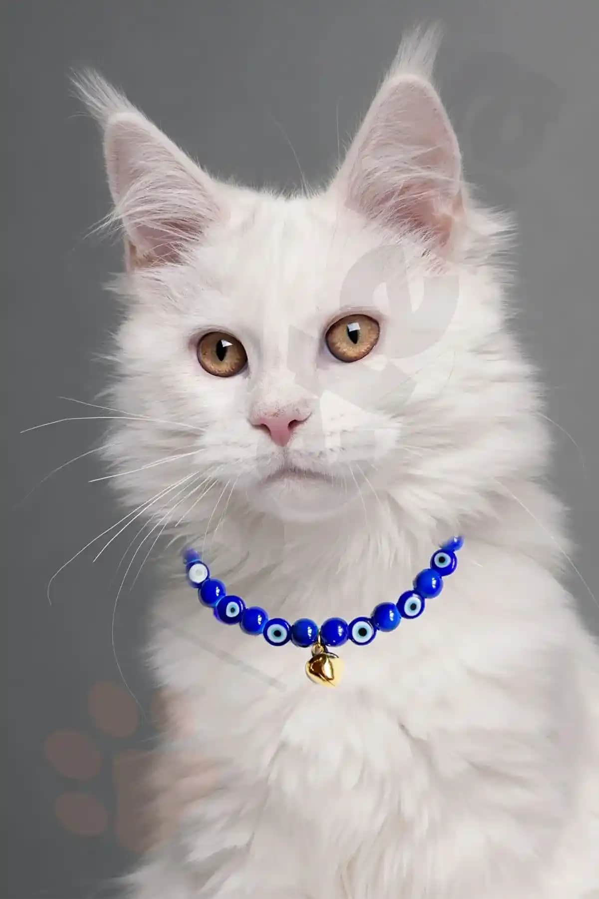 Kedi Kolyesi: Şıklık ve Sevimliliği Yansıtan Modern Takı Trendleri ve Stil İpuçları