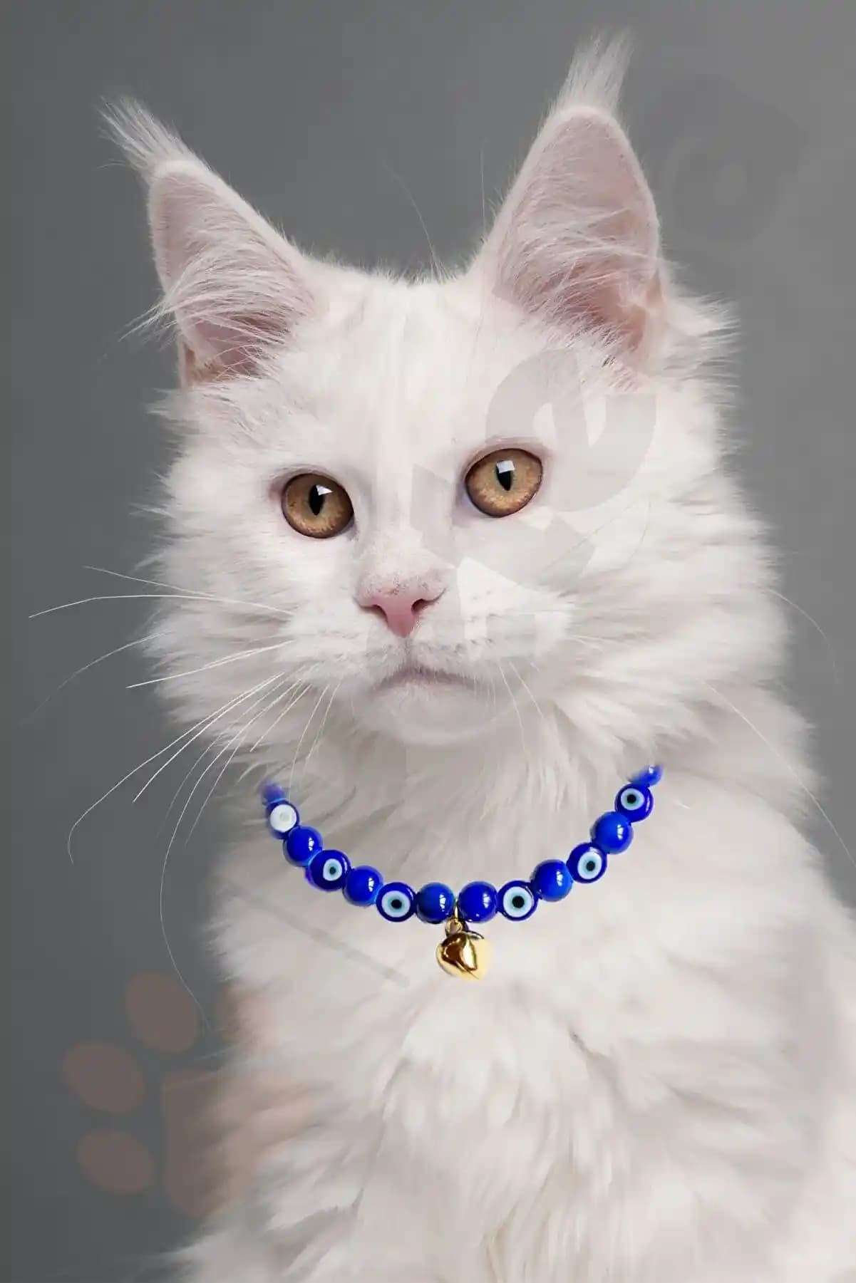 Kedi Kolyesi: Şıklık ve Sevimliliği Yansıtan Modern Takı Trendleri ve Stil İpuçları