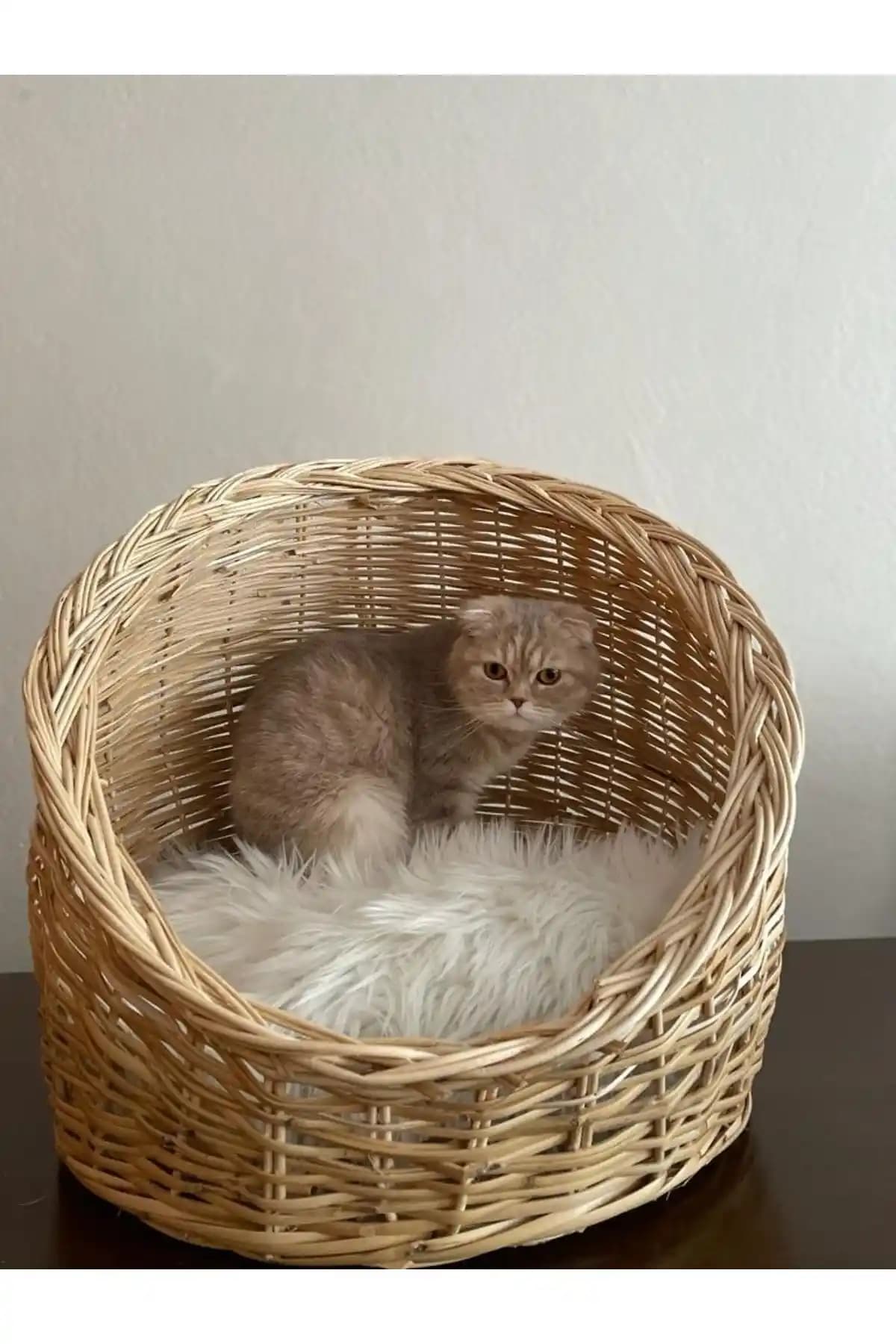 Kedi Sepetleri: Estetik ve İşlevselliği Birleştiren Modern Tasarımlar ve Kullanım İpuçları