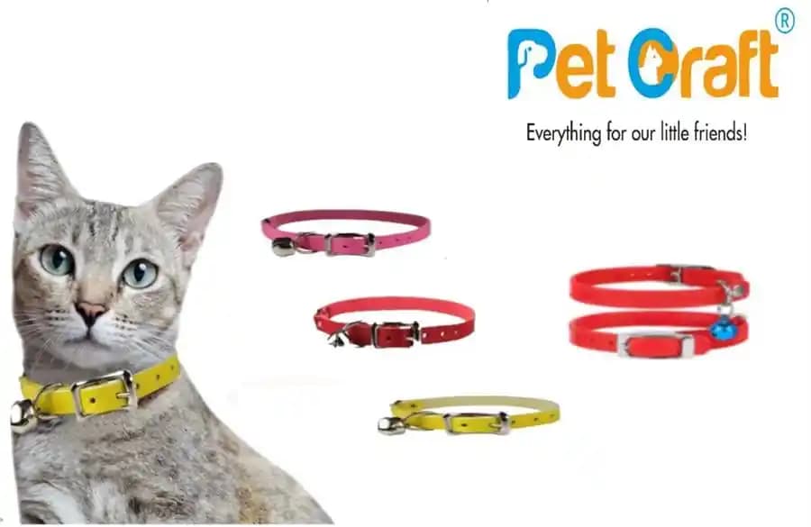 Kedi Tasma Modelleri ve Çanta Aksesuarlarıyla Güvenlik ve Şıklık Bir Arada