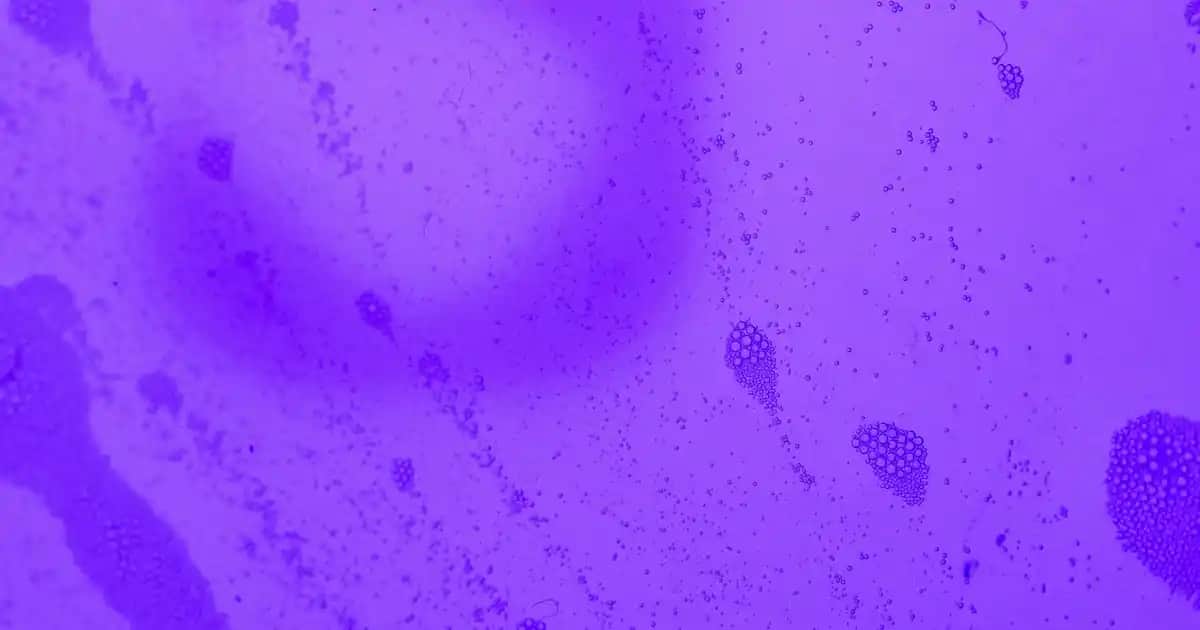 Okul Çantası Seçerken Dikkat Edilmesi Gerekenler ve Güncel Trendler