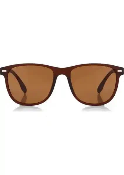 Aqua Di Polo 1987 Kahverengi Unisex Güneş Gözlüğü Şık ve UV Koruyucu Tasarım