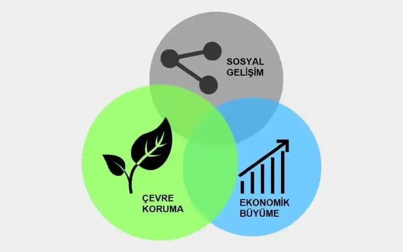 Kullanılmış Çanta Alımında Dikkat Edilmesi Gerekenler ve Güvenilir Satın Alma Rehberi