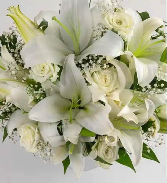 Beyaz Kokulu Çiçekler: Ev ve Bahçe Dekorasyonunda Zarafet ve Doğal Koku İpuçları