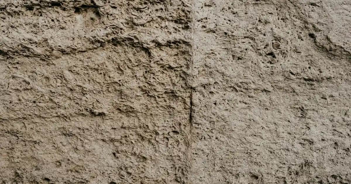 Adidas 35 Numara Ayakkabılar: Spor ve Günlük Kullanım İçin En İyi Seçenekler