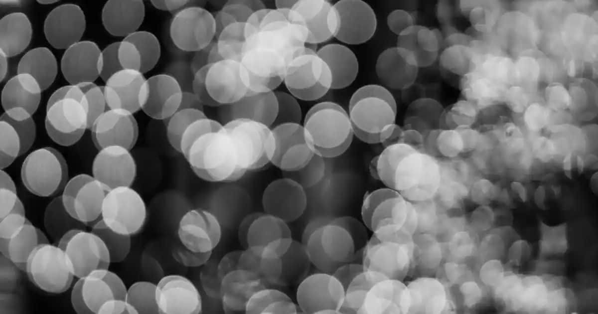 Adidas Antrenman Çantası Seçenekleri ve Özellikleri: Spor ve Günlük Hayat İçin Uygun Modeller