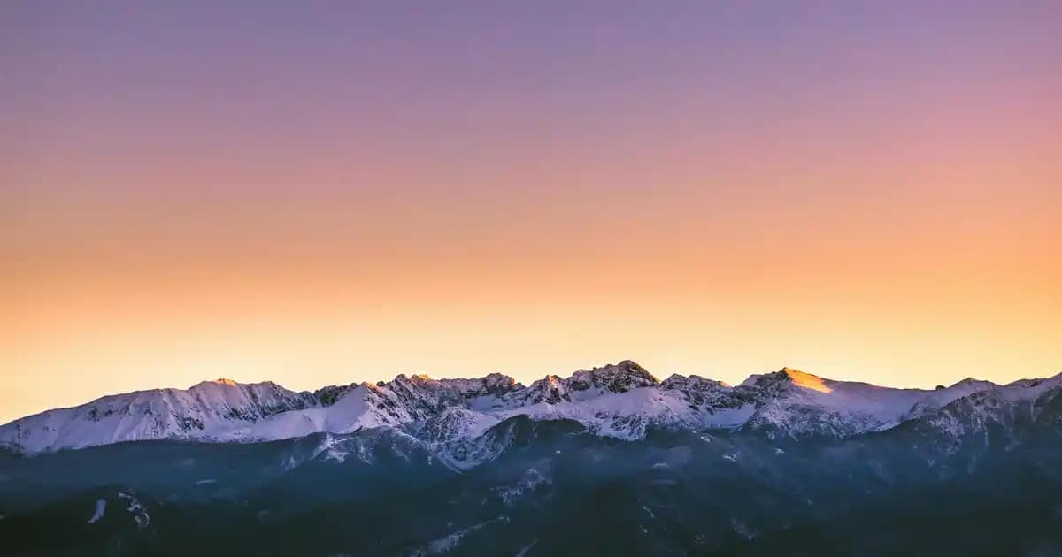 Adidas Bayan Siyah Spor Ayakkabıları: Şıklık ve Performansın Mükemmel Buluşması