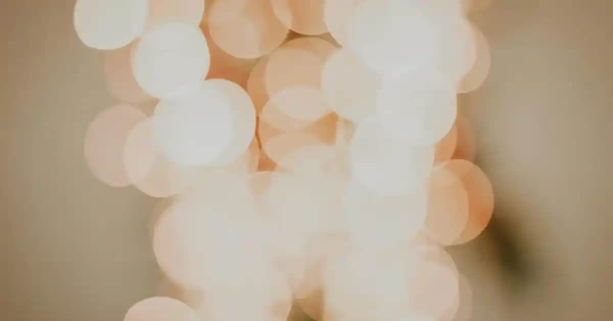 Adidas Bebek Giyim ve Ayakkabıları: Konfor ve Şıklık Sunan Koleksiyonlar