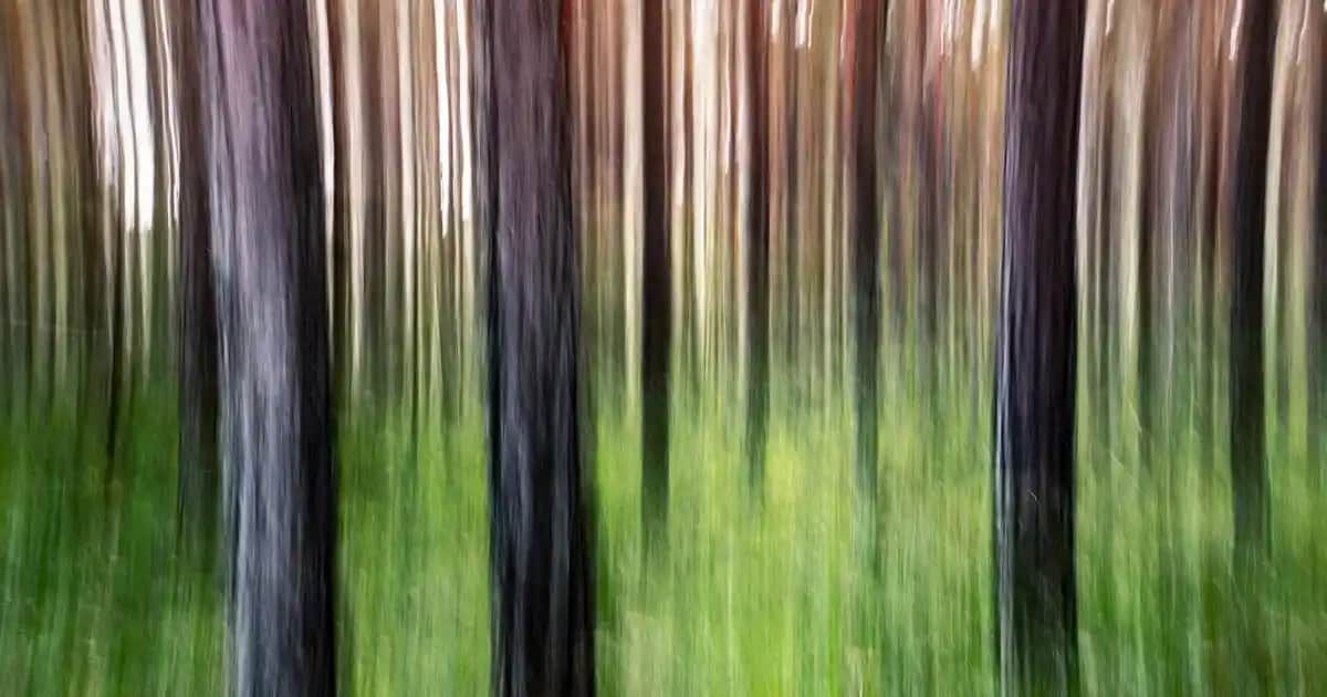 Adidas Daroga Erkek Ayakkabıları: Dayanıklılık ve Şıklığın Mükemmel Buluşması