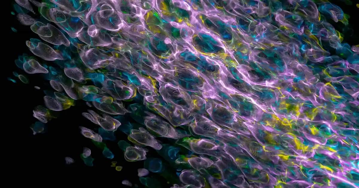 Adidas Erkek Eşofman Takımı Seçenekleri ve Trendleri 2023