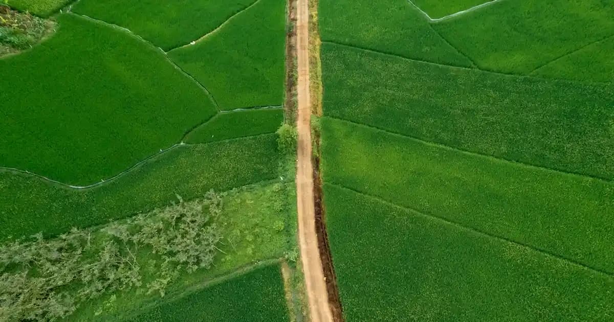 Adidas Erkek Eşofman Takımları: Modern Tasarımlar ve Konforlu Spor Giyim Seçenekleri