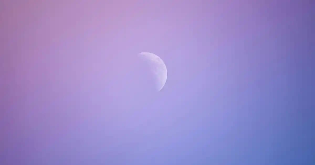 adidas Fortarun Kadın Spor Ayakkabıları: Konfor ve Şıklığın Mükemmel Buluşması