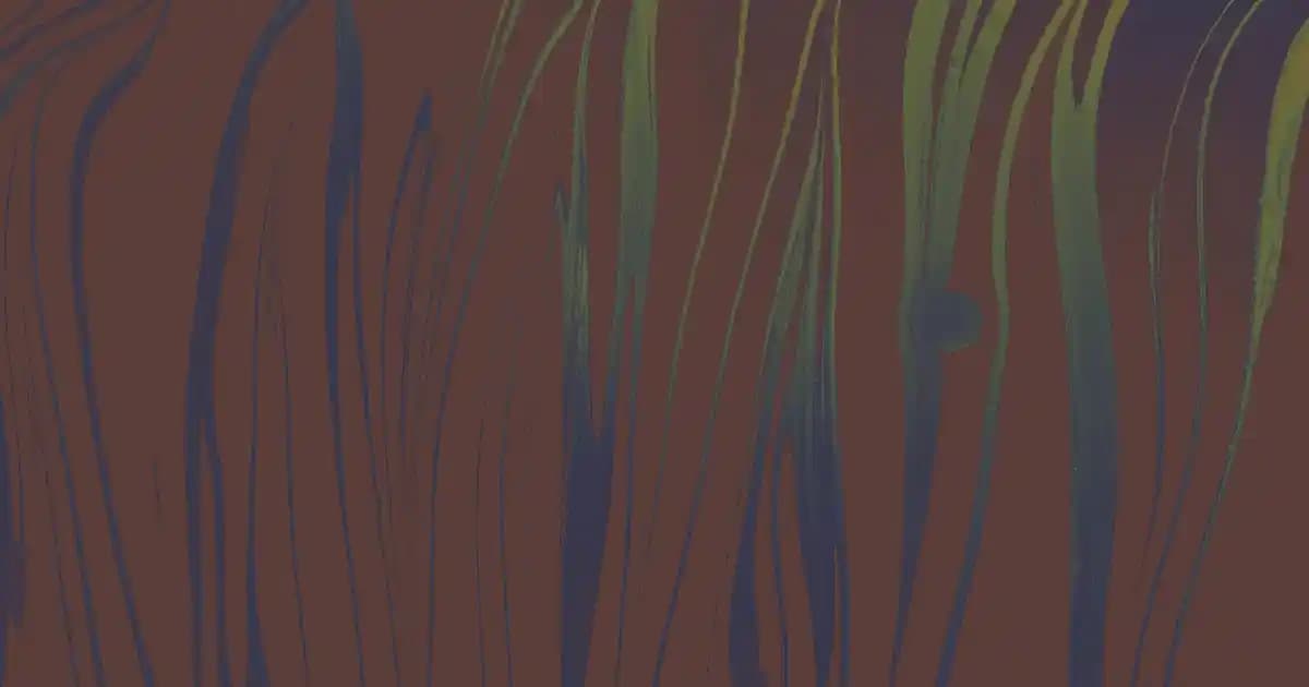 Adidas kız çocuk spor ayakkabıları: Konfor, dayanıklılık ve şıklık bir arada