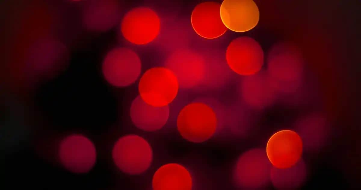 Adidas Koşu Ayakkabıları: Performans ve Tarzı Birlikte Sunan Modeller ve Özellikler