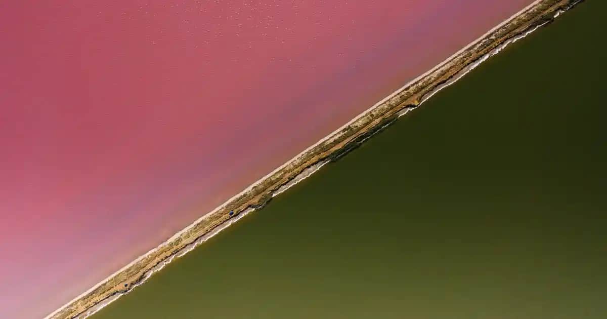 Adidas Ownthegame 2.0 Erkek Basketbol Ayakkabısı Modern Tasarım ve Teknolojiyle Performansı Artırır