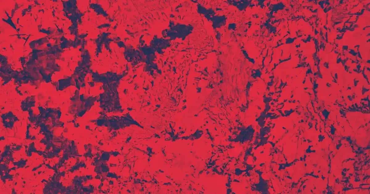 Adidas Renkli Spor Ayakkabılarıyla Tarzınızı Yükseltin ve Günlük Şıklığa Ulaşın