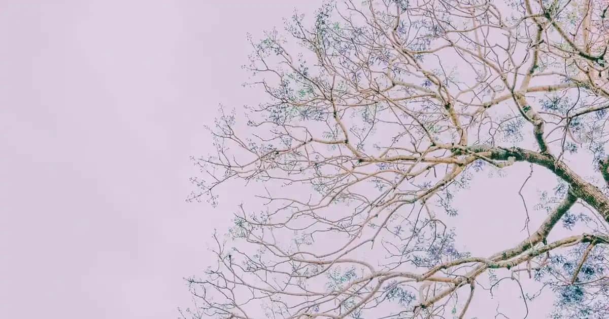 Air Force Erkek Siyah Ayakkabılar: Şıklık ve Konforun Mükemmel Buluşması