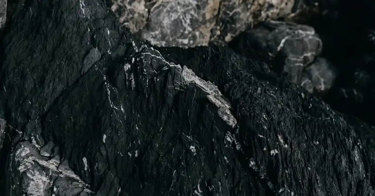 Anne Sandaleti ve Ortopedik Ayakkabı Seçenekleri: Sağlık ve Şıklığın Buluşması