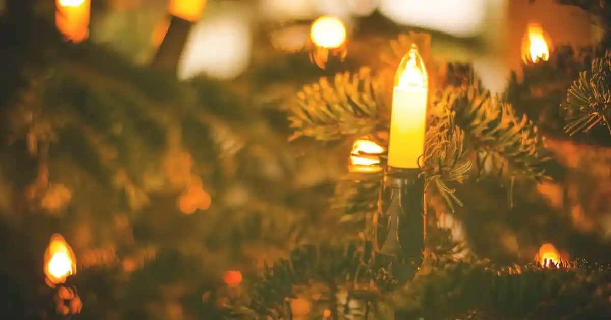 Baba ve Çocuk Kombinleri ile Uyum ve Şıklığı Yakalayın