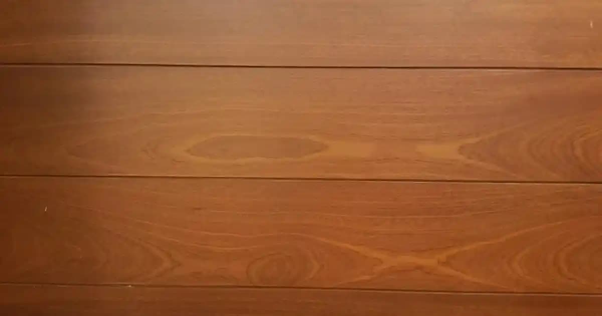 Bayan Nayk Spor Ayakkabıları: Trendler, Seçim ve Güncel Modeller Hakkında Kapsamlı Bilgiler