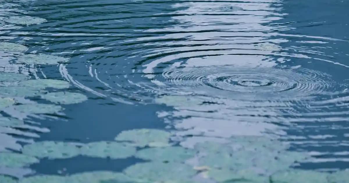 Bebek İçin Çiçek Seçimi ve Dekorasyon İpuçları Sağlıklı ve Güvenli Hediye Fikirleri