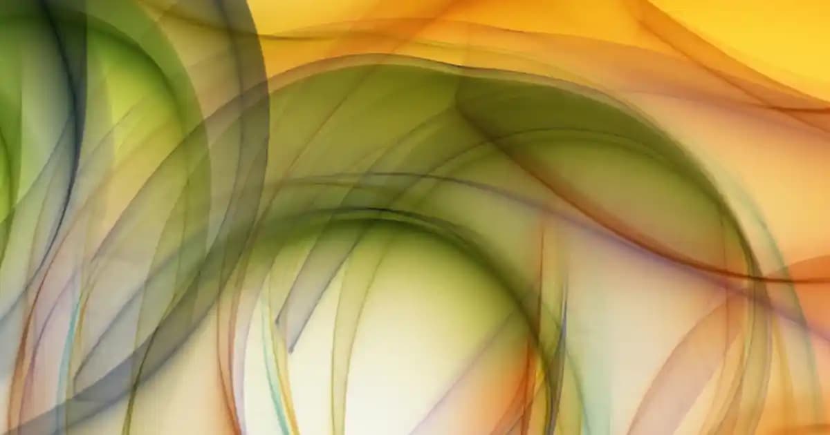 Beyaz Çiçek Motifleri ve Moda Tasarımında Kullanımı: Çanta ve Ayakkabılarda Zarif Detaylar