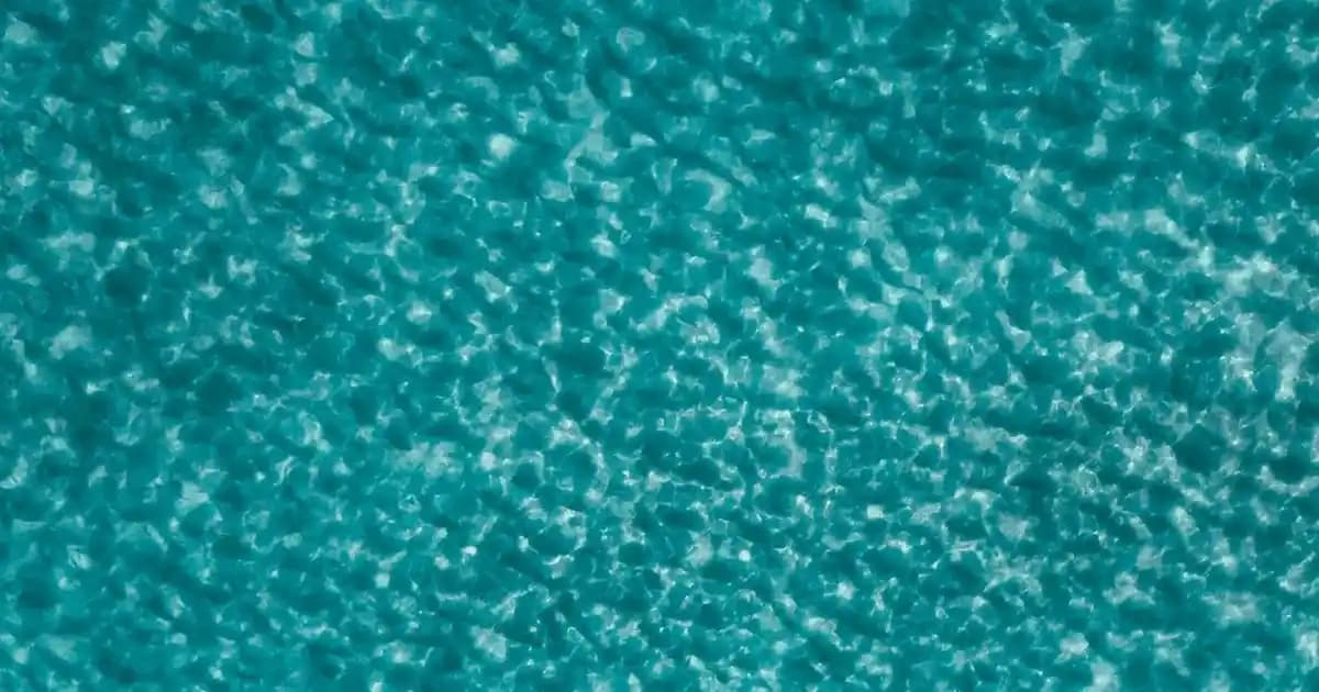 Beyaz Çıtçıtlı Ayakkabılar: Güncel Trendler ve Pratik Kullanım Avantajları