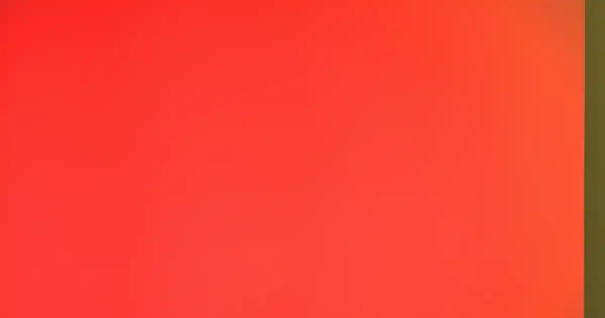 Beyaz Erkek Ayakkabıları Skechers ile Şıklık ve Konforun Buluştuğu Nokta