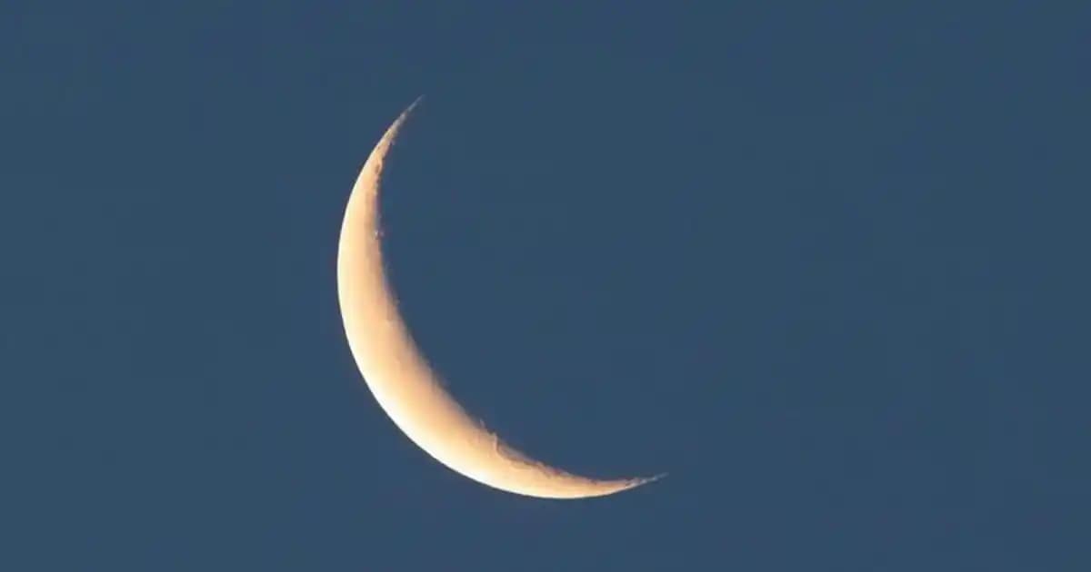 Beyaz Erkek Mont ve Çanta Kombinasyonları: Şıklık ve Fonksiyonellik İçin Stil Rehberi