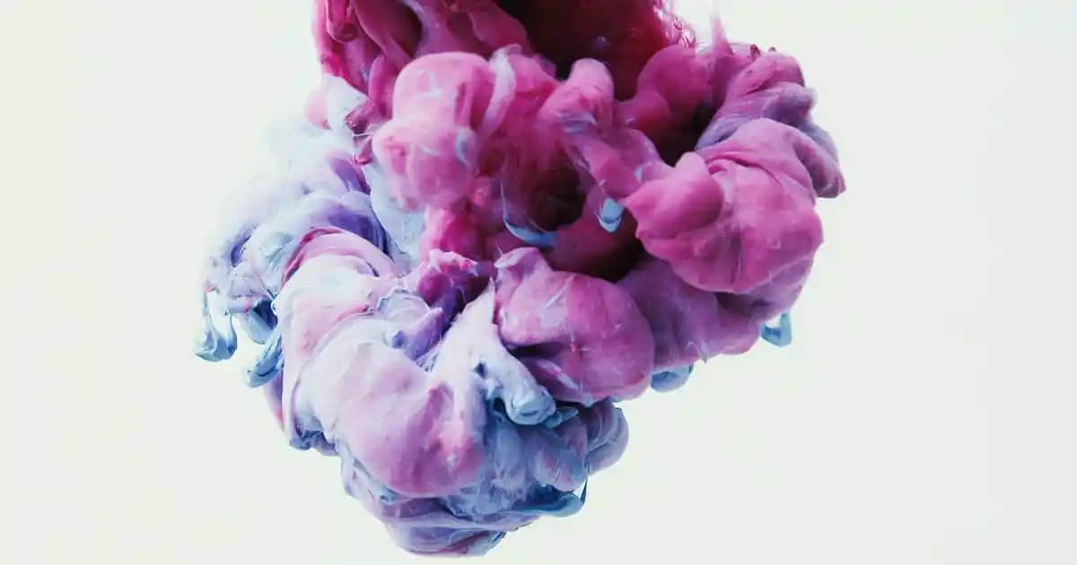 Beyaz Frezya Çiçeği Anlamı, Bakımı ve Kullanım Alanları Hakkında Detaylı Bilgi