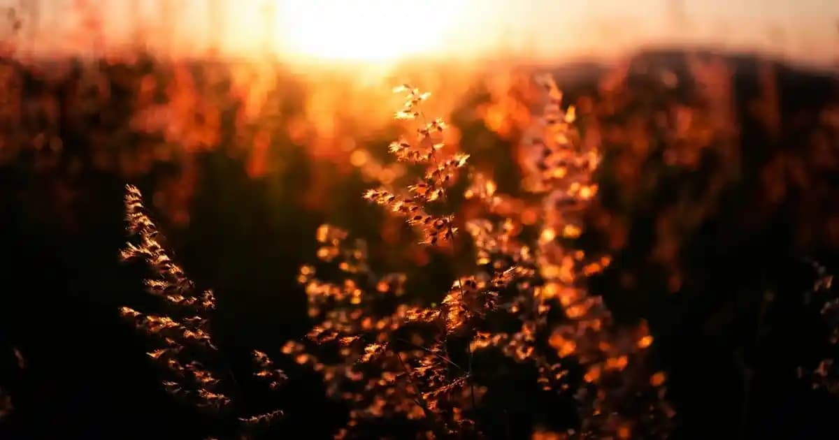 Beyaz gömlek üzerine en uygun ve şık kombin önerileri ve stil ipuçları