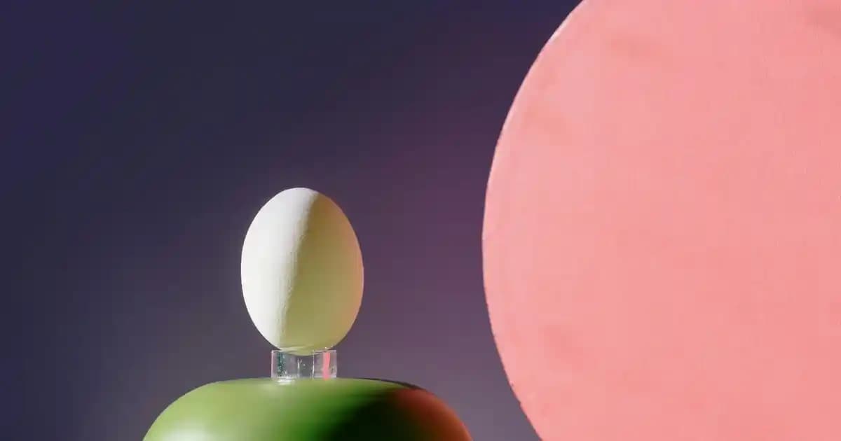 Beyaz Gömlek ve Uygun Ayakkabı-Çanta Kombinasyonlarıyla Şıklığınızı Yükseltin