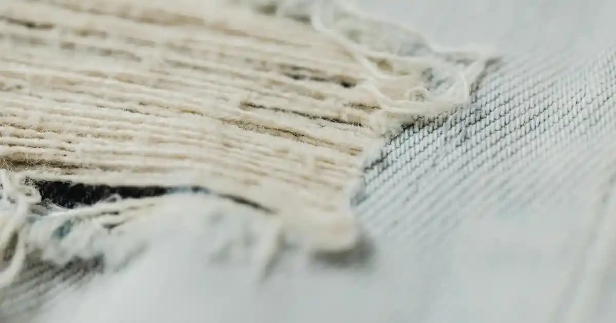 Beyaz Gülün Anlamı ve Sembolizmi Moda ve Aksesuar Tasarımlarında Zarafetin Temsilcisi