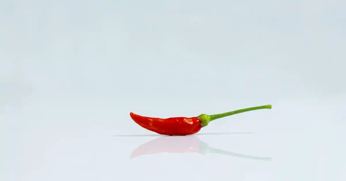 Beyaz Kadın Ayakkabıları: Şıklık ve Rahatlığın Mükemmel Uyumu