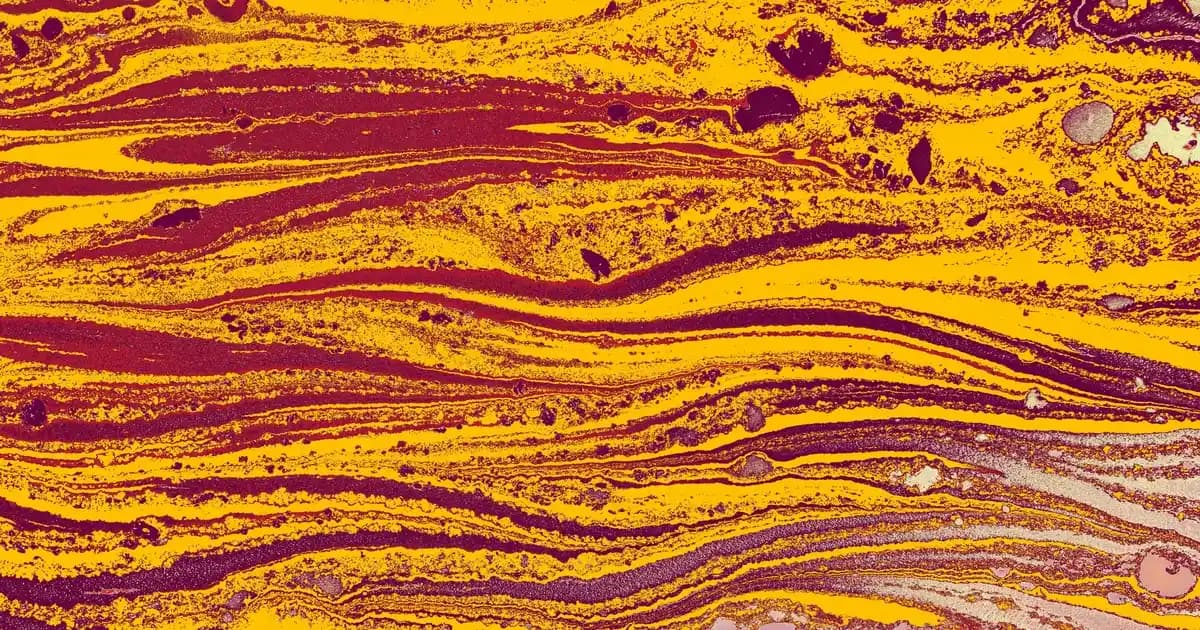 Beyaz Kadın Spor Ayakkabıları: Modeller, Kombinasyonlar ve Bakım İpuçları