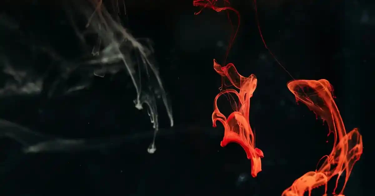 Beyaz Puma Erkek Ayakkabıları: Şıklık ve Konforun Bir Arada Sunulduğu Modeller