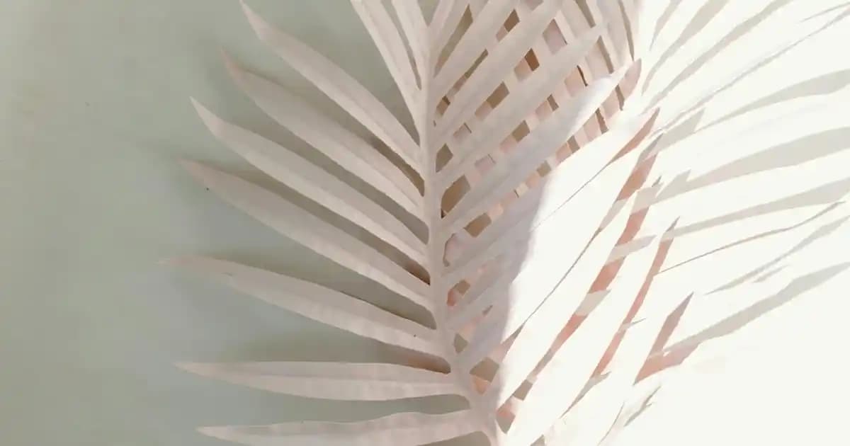 Beyaz Tabanlı Siyah Ayakkabılar Moda ve Konforun Birleştiği Güncel Trendler