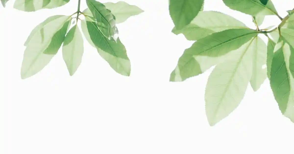 Beyaz Tişört ve Ayakkabı/Çanta Kombinasyonlarıyla Şık ve Modern Stil Rehberi