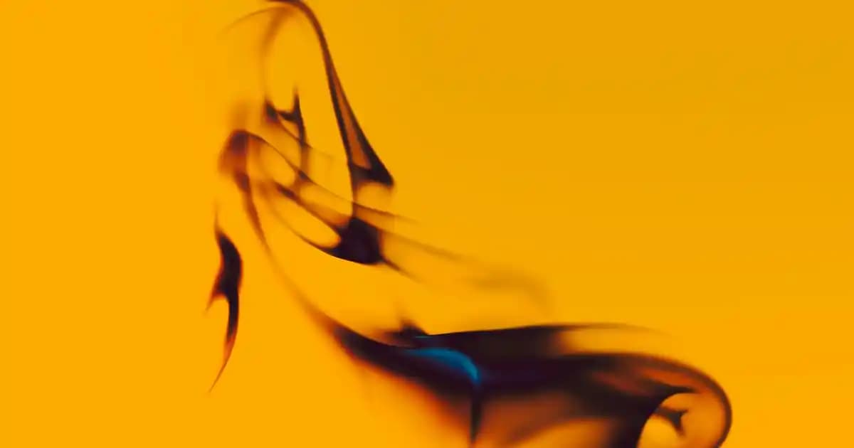 Beyaz Tişört ve Ceket Kombinleriyle Şıklık ve Rahatlığı Bir Arada Yakalayın